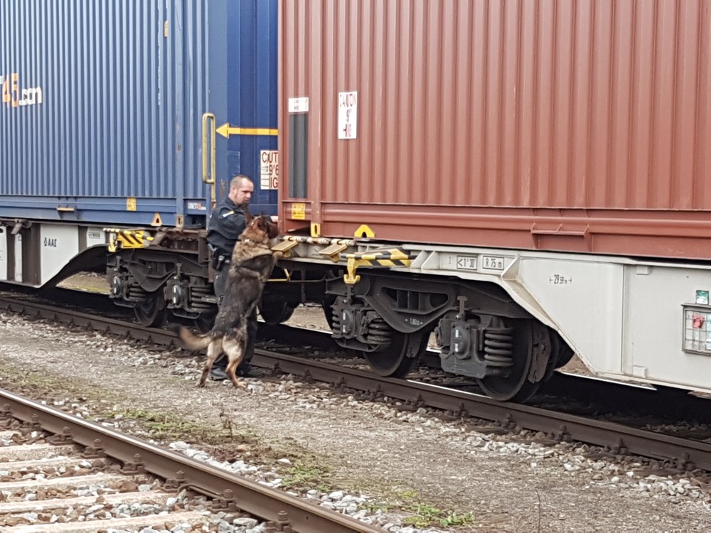 Ein Beamter der Bundespolizei mit Diensthund auf der Suche nach weiteren versteckten Personen im Güterzug. (Foto: © Bundespolizei)